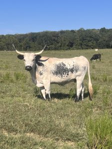 White with black spots