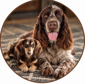 Southern House of Dachshunds and Springers